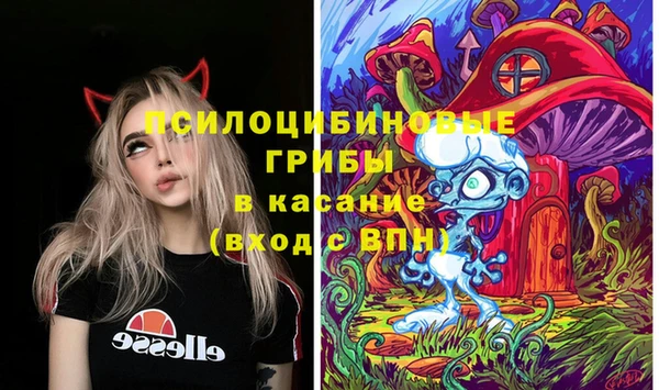 гидропоника Михайловка