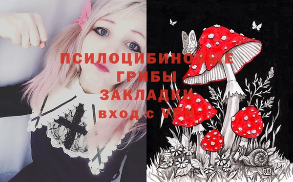гидропоника Михайловка