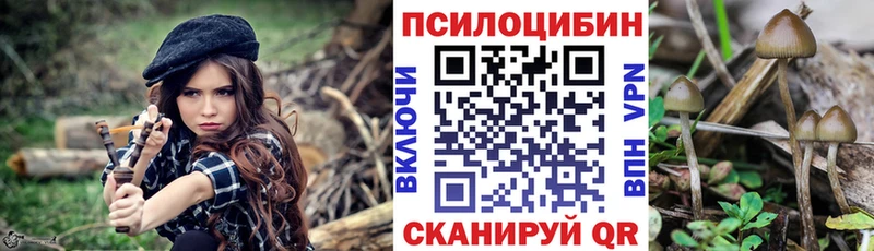 Псилоцибиновые грибы прущие грибы купить наркотик Железногорск