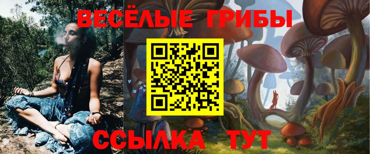 Галлюциногенные грибы Magic Shrooms Железногорск